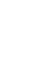 Rise for Rights